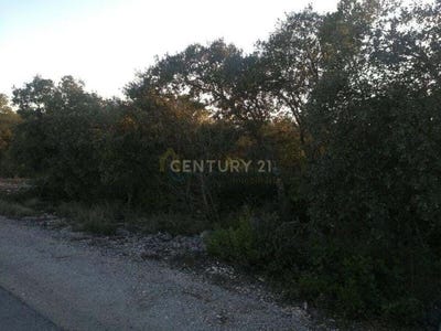 /international/pt/fatima-ourem-portugal-fatima-santarem-310108940737/?lang=es