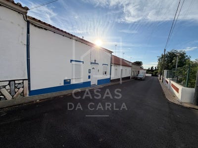 /international/pt/canhestros-beja-310108618999/
