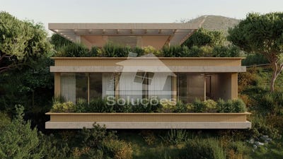 /international/pt/silves-faro-310108293092/