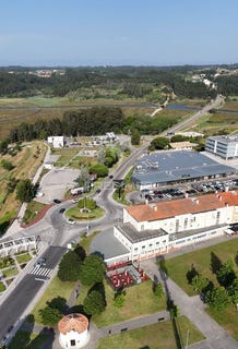 /international/pt/vagos-e-santo-antonio-vagos-aveiro-310100788381/