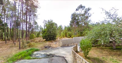 /international/pt/rua-gregorio-da-silva-marinha-grande-leiria-310108836523/