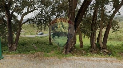 /international/pt/caminha-viana-do-castelo-310106287547/