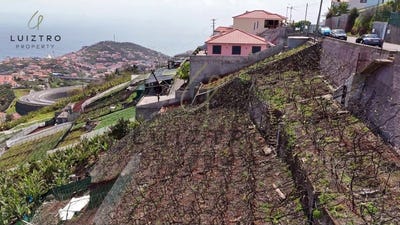 /international/pt/estreito-camara-de-lobos-madeira-310107556310/