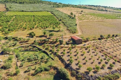 /international/pt/poiares-braganca-310108943728/?lang=it