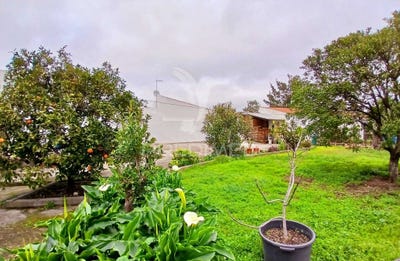 /international/pt/baleizao-beja-beja-310107738692/