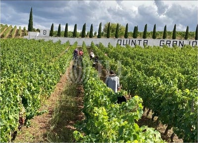 /international/pt/alijo-vila-real-310105163539/