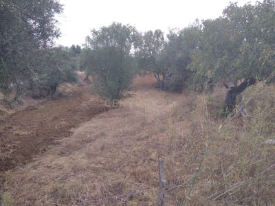 /international/pt/valhascos-sardoal-portugal-valhascos-santarem-310105105776/