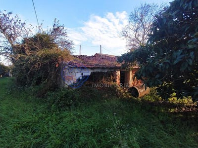 /international/pt/sao-pedro-de-tomar-santarem-310104190751/