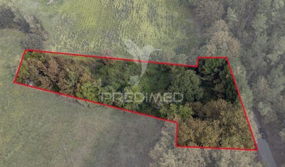 /international/pt/lage-vila-verde-braganca-310102232495/