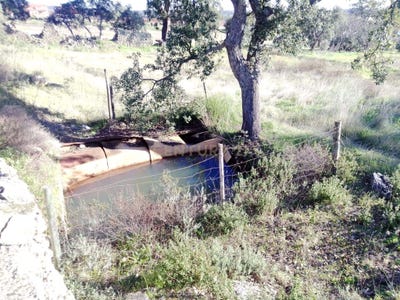 /international/pt/horta-da-apolonia-penha-garcia-castelo-branco-310105233284/