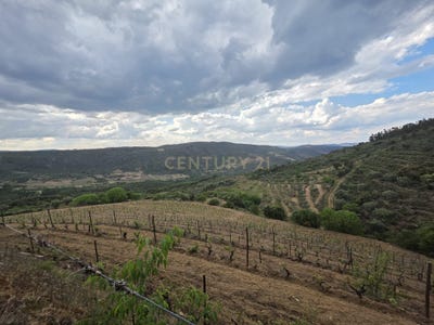 /international/pt/freixo-de-numao-portugal-freixo-de-numao-guarda-310108508474/
