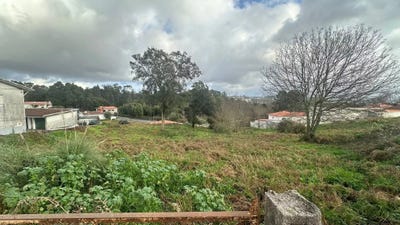 /international/pt/sanguedo-aveiro-310106775025/