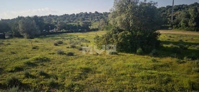 /international/pt/quelfes-faro-310107026203/