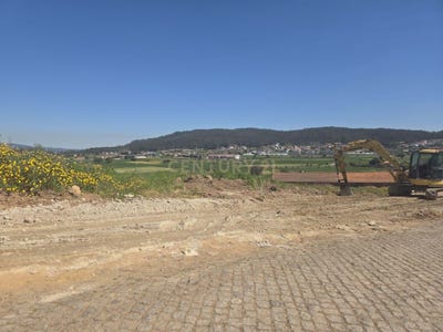 /international/pt/cm1120-768-4755-vilar-de-figos-portugal-milhazes-braga-310107010298/