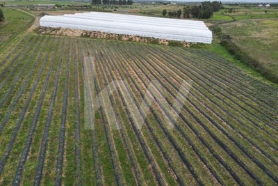 /international/pt/ladoeiro-castelo-branco-310107922484/