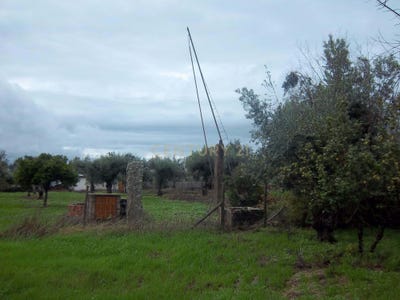 /international/pt/pontalao-escalos-de-cima-castelo-branco-310105231220/