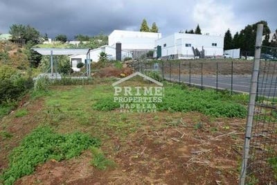 /international/pt/santa-cruz-setubal-municipality-120086470085/