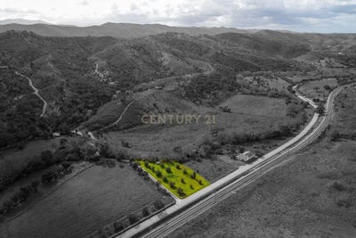 /international/pt/sao-marcos-da-serra-faro-310100227669/