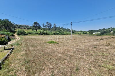 /international/pt/soure-coimbra-310101225712/?lang=zh-tw