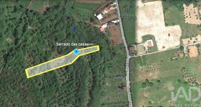 /international/pt/santarem-santarem-310105649293/