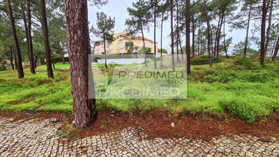 /international/pt/carvalhal-grandola-setubal-municipality-310095141010/