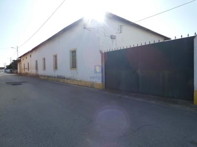 /international/pt/pombalinho-santarem-310094778505/?lang=zh-tw