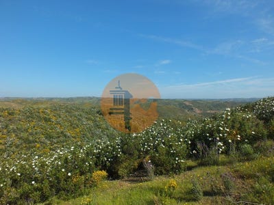 /international/pt/vila-nova-de-cacela-faro-310105012722/