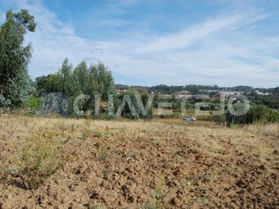 /international/pt/sao-pedro-de-tomar-santarem-310103136034/