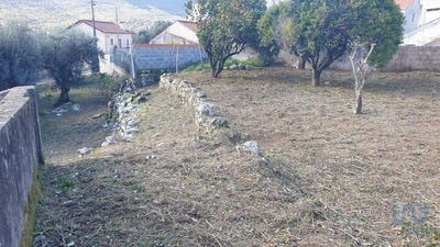 /international/pt/leiria-leiria-120082619581/