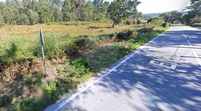 /international/pt/cerdal-viana-do-castelo-310100411603/