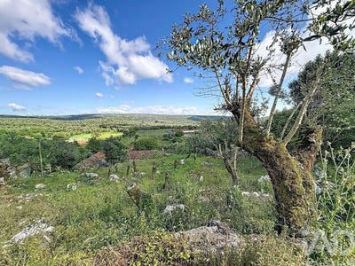 /international/pt/leiria-leiria-310109015943/
