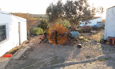 /international/pt/faro-faro-310096372269/