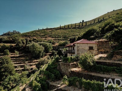/international/pt/viseu-viseu-310094336622/