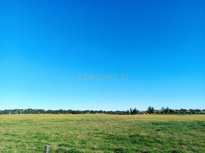 /international/pt/fonte-nova-santa-eulalia-lisbon-310106625225/