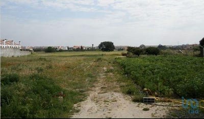 /international/pt/alcochete-setubal-municipality-120092382846/