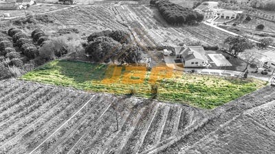 /international/pt/alcobaca-viana-do-castelo-310097747294/