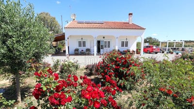 /international/pt/ourique-municipality-beja-310108650500/?lang=zh-cn
