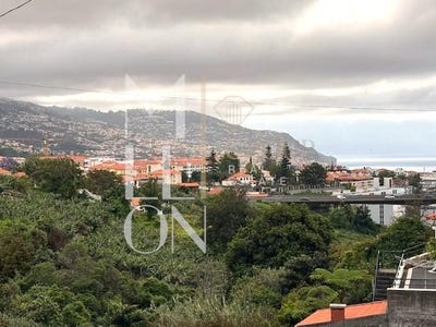 /international/pt/funchal-madeira-310107359584/