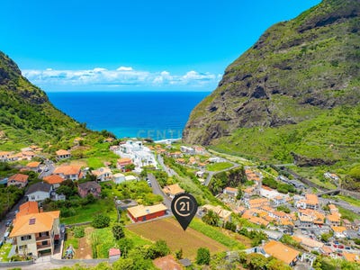 /international/pt/ilha-da-madeira-madeira-310098101683/