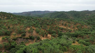 /international/pt/santa-margarida-da-serra-setubal-municipality-310102105335/