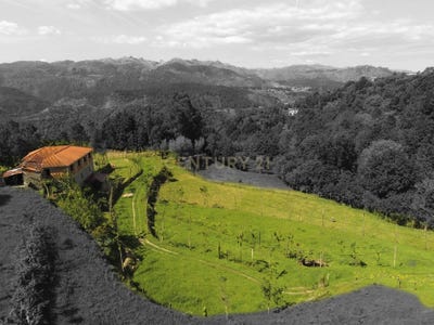 /international/pt/salamonde-portugal-salamonde-braga-310105188736/
