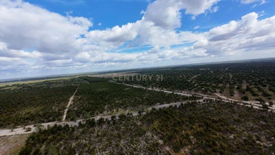 /international/pt/estrada-dos-alemaes-santo-estevao-portugal-santo-estevao-santarem-310108670575/