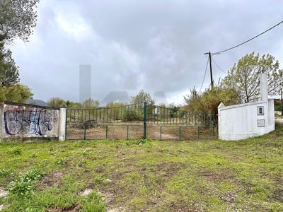 /international/pt/setubal-setubal-municipality-310105249242/