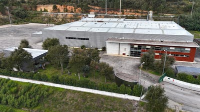 /international/pt/gaviao-santarem-310098638882/