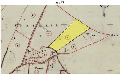 /international/pt/carnota-lisbon-310101280899/?lang=zh-tw