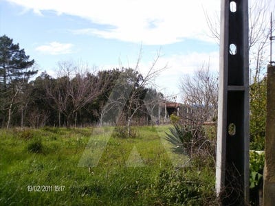 /international/pt/aguada-de-cima-aveiro-310100274364/