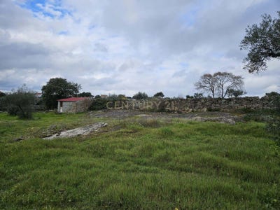 /international/pt/r-do-cemiterio-5-6005-6005-lousa-portugal-escalos-de-cima-castelo-branco-310105169134/