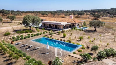 /international/pt/pavia-evora-310100608032/