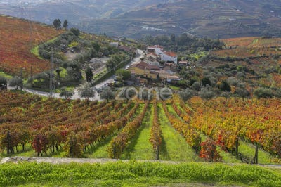 /international/pt/peso-da-regua-vila-real-310108307365/
