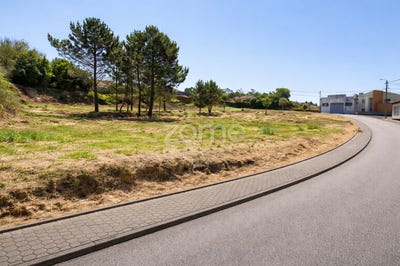 /international/pt/ovar-aveiro-310107523697/